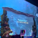 동패유치원 이미지