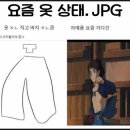 아나봄 펫살롱 | 땅에 버린 13만원. 2025 UMF(울트라 뮤직 페스티벌) 기억 안나는 후기