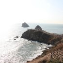 남구-14 Daum카페