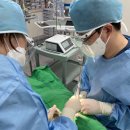 분당치과, 과잉 진료 걱정된다면 꼭 확인할 &#39;1가지&#39;