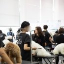 오즈펫살롱 이미지