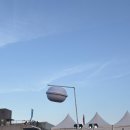 팀타투서플라이(Timtattoosupply) | 어른들의 가을운동회 2025 시포레 후기🎈