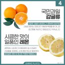 상남과일