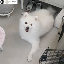 루앤오 네이버블로그