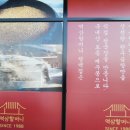 역삼할머니청백집