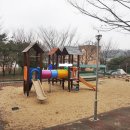 포란재로 Daum카페