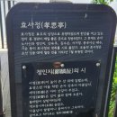 동작충효길 3코스 한강나들길 | [동작충효길 3코스] 한강나들길(동작역~노량진역) 완주 후기