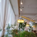 엉뚱푸드 이미지