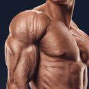 프레스짐(Press GYM) 이미지