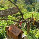 하늘길쉼터민박 이미지