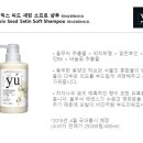 도그비잉코리아