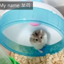 하늘시루떡집 이미지