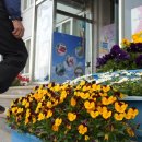 장평면사무소 이미지