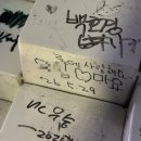 121 | 창원NC파크 3루 원정석 내야 121구역 31열 시야 후기 ｜ 분위기·응원·좌석 솔직리뷰