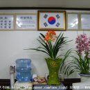 원전기 이미지