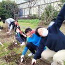 어도초등학교 이미지