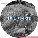 샘장례토탈 | 염쟁이강씨의 묘지 개장(이장) 돌발 상황!!!
