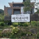 치악산백운네집 | [의왕]백운호수 브런치 카페 맛집 호수뷰 에키네시아 내돈내산 후기