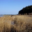 바우길 13구간 이미지