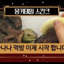 생탐 이미지