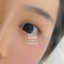 래쉬디쉬