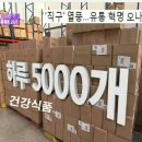 글로벌허브투 이미지