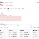주식일기 #12 (더핑크퐁컴퍼니 수익률, 더핑크퐁컴퍼니 후기)