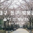율하광장 반계공원 | 대구 동구 벚꽃길 율하 벚꽃 반계공원의 모습