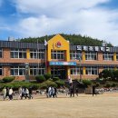 도평초등학교 이미지