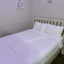 어나더153애견펜션 이미지