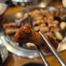 삼성동-27 | 삼성동 고기집 회식장소 탐라도야지 (삼성동 주차가능 고기집)