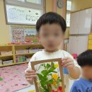 수kids어린이집 이미지
