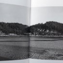 동해시-40 이미지