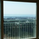 강정동-19 이미지