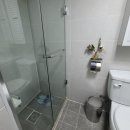 밸런스독 이미지