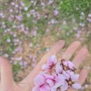 정정농장 이미지