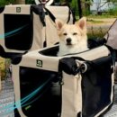 프리미엄 켄넬 이미지