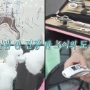 조이애견