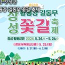 미리 가 본 장성 황룡강 길동무 꽃길 축제 이미지