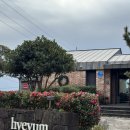 혜윰 | 제주 대가족 독채 숙소 추천 서귀포 혜윰별장 후기