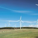 우리개발 이미지