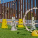 베일리애견풀빌라펜션 이미지