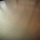 하다건재