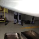 여명모터스 이미지