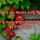 [경기안내] 09월 11일(화요일) 이미지