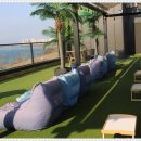 브레드쏭 이미지