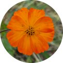 숲뜰근린공원 이미지