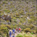 뽈레뽈레 이미지