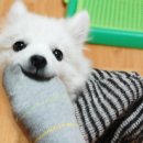 맘스터치산호점 이미지