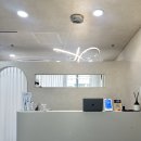 스튜디오MM | 선릉역 스튜디오영원 LED 애니메 속눈썹 연장 후기